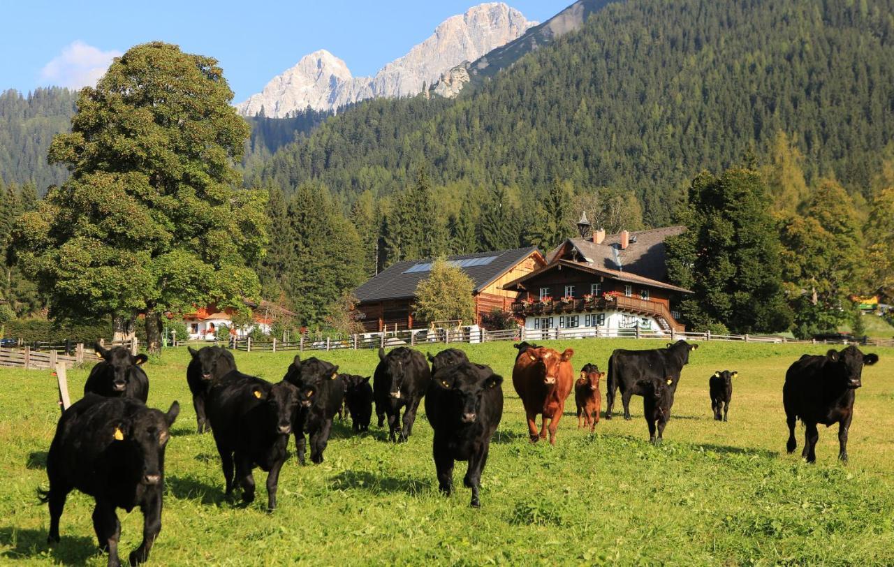 Hotel Laerchenhof Ramsau am Dachstein Exteriör bild